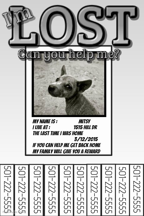 Lost Dog Poster Template Elegant Lost Missing Template