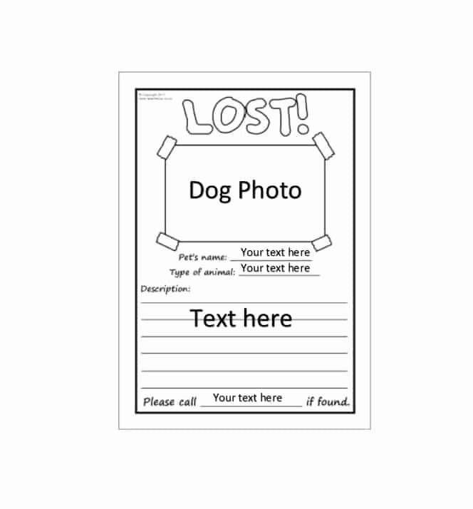 Lost Dog Poster Template New 40 Lost Pet Flyers [missing Cat Dog Poster] Template