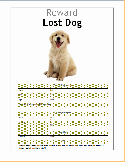 Lost Pet Flyer Template Best Of 10 Ms Word Editable Printable Flyer Templates