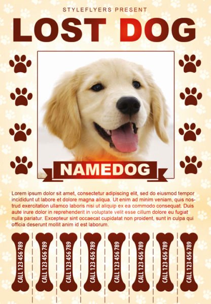 Lost Pet Flyer Template Inspirational Lost Dog Free Flyer Template Download for Shop