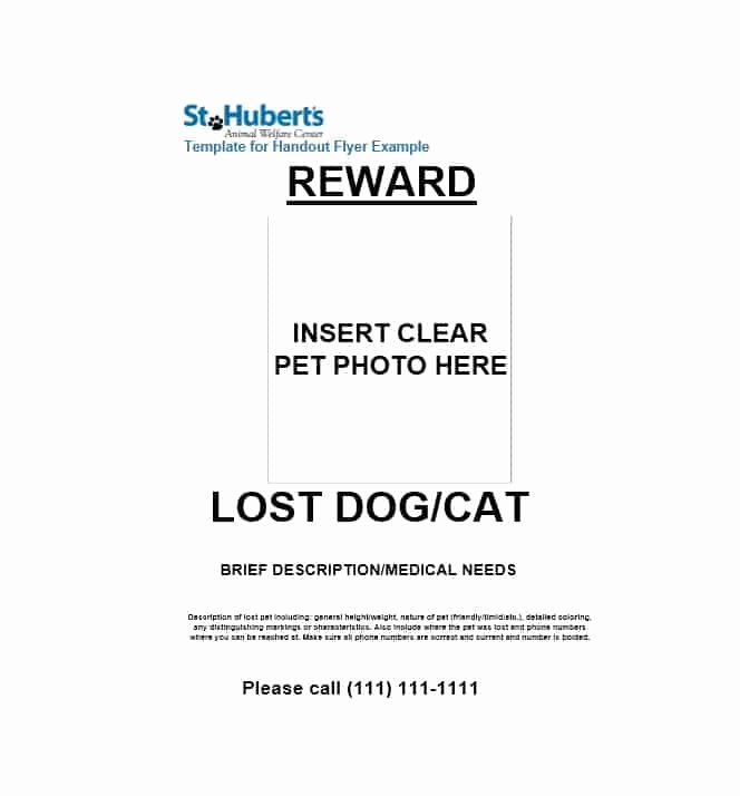 Lost Pet Poster Template Beautiful 40 Lost Pet Flyers [missing Cat Dog Poster] Template