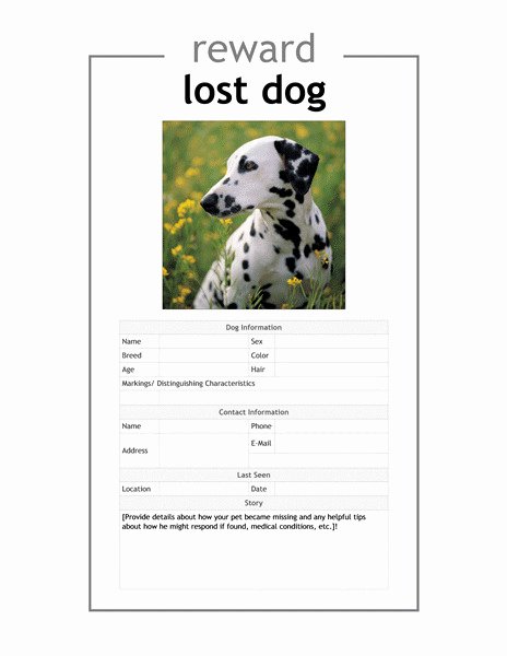 Lost Pet Poster Template Best Of Affidavit Template Lost Documents Templates Resume