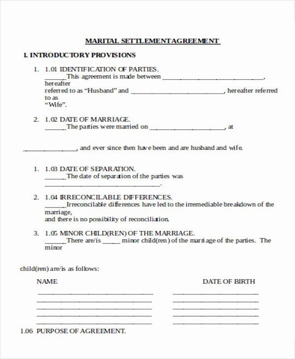 Marital Settlement Agreement Template Unique 8 Settlement Agreement Samples