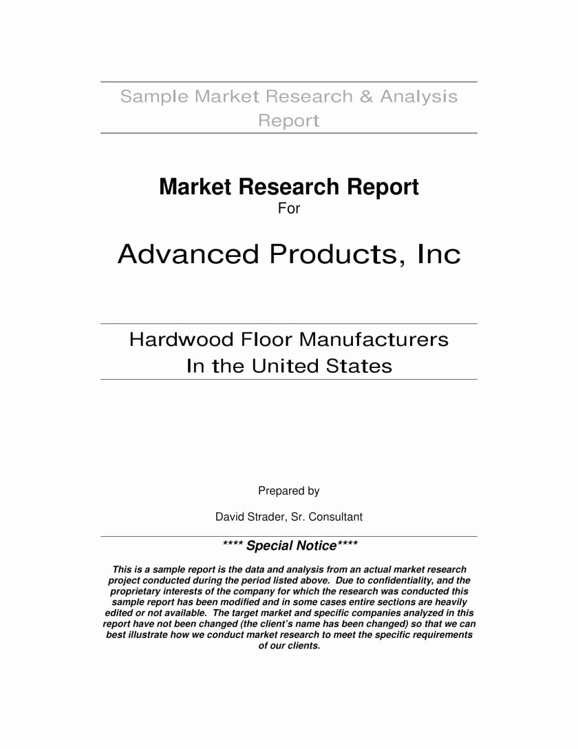 Market Research Report Template Elegant Market Research Report Sample Template Ppt Example Pdf