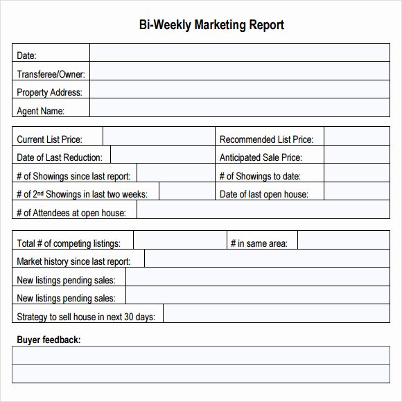 Market Research Report Template Lovely 14 Sample Marketing Report Templates