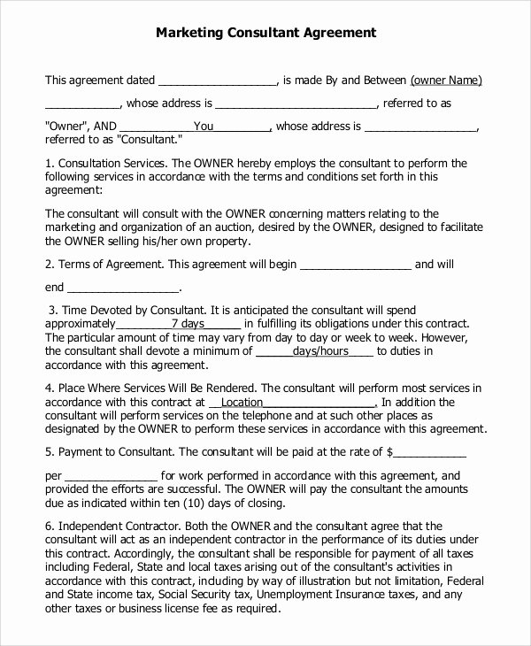Marketing Agency Agreement Template Unique 13 Marketing Consulting Agreement Samples