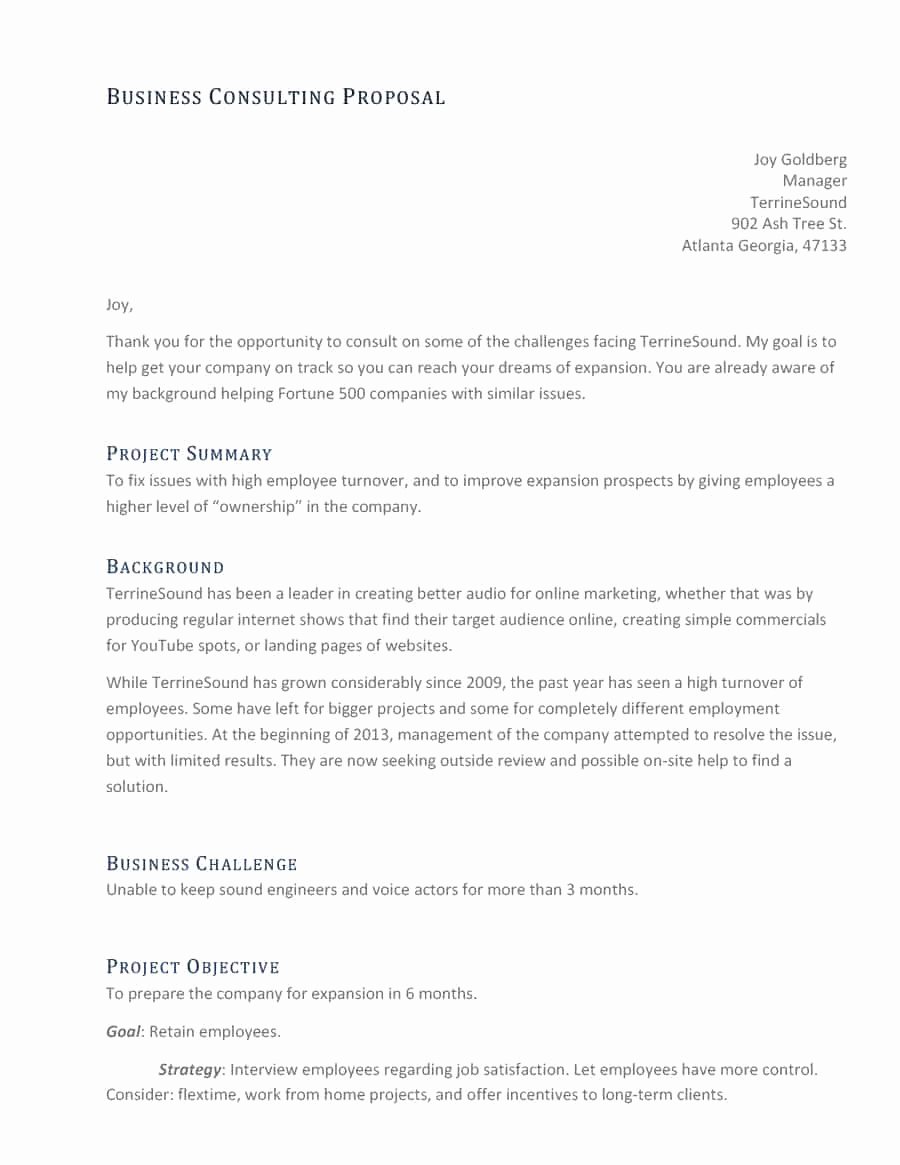 Marketing Consulting Proposal Template Beautiful 39 Best Consulting Proposal Templates [free] Template Lab