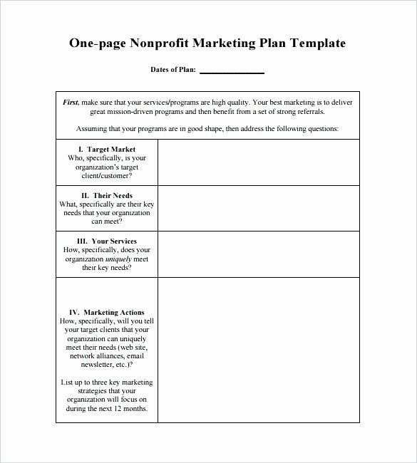 Marketing One Sheet Template Luxury E Page Marketing Action Plan Example Download Template