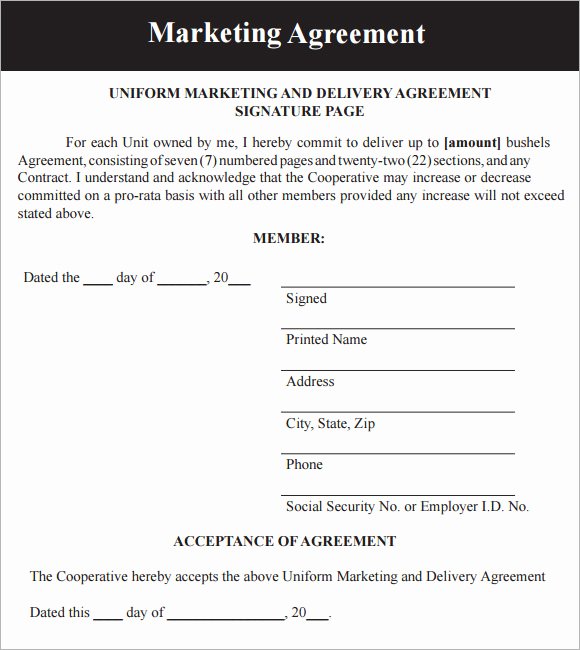 Marketing Service Agreement Template Elegant Marketing Agreement Template 29 Download Free Documents