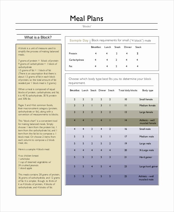 Meal Plan Template Word Fresh Sample Meal Planning 7 Documents In Word Pdf