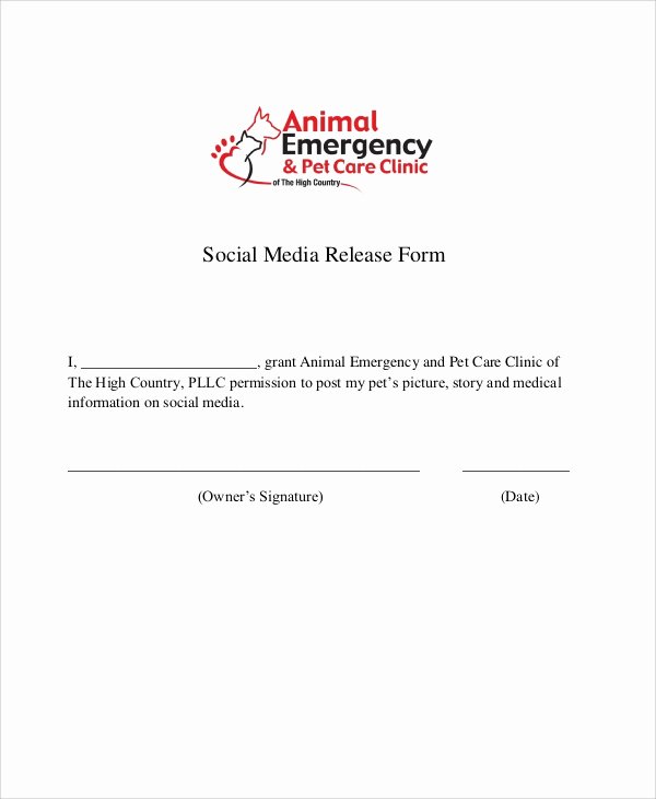 Media Release forms Template Best Of 50 Sample Release forms