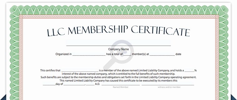 Membership Certificate Llc Template Best Of Llc Membership Certificate Free Limited Liability
