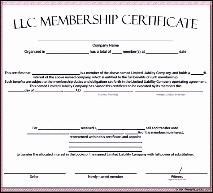 Membership Certificate Llc Template New Membership Certificate Template Download