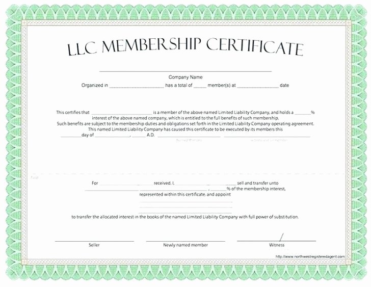 Membership Certificate Llc Template New Template Llc Membership Certificate Playinterchange