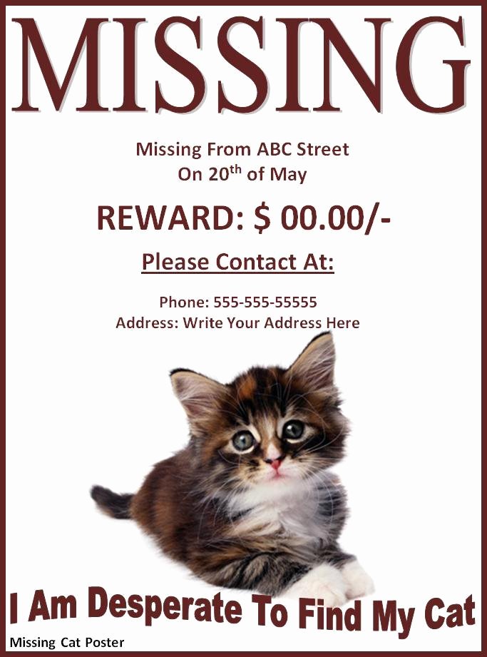 Missing Cat Poster Template Awesome 10 Missing Lost Pet Poster Templates