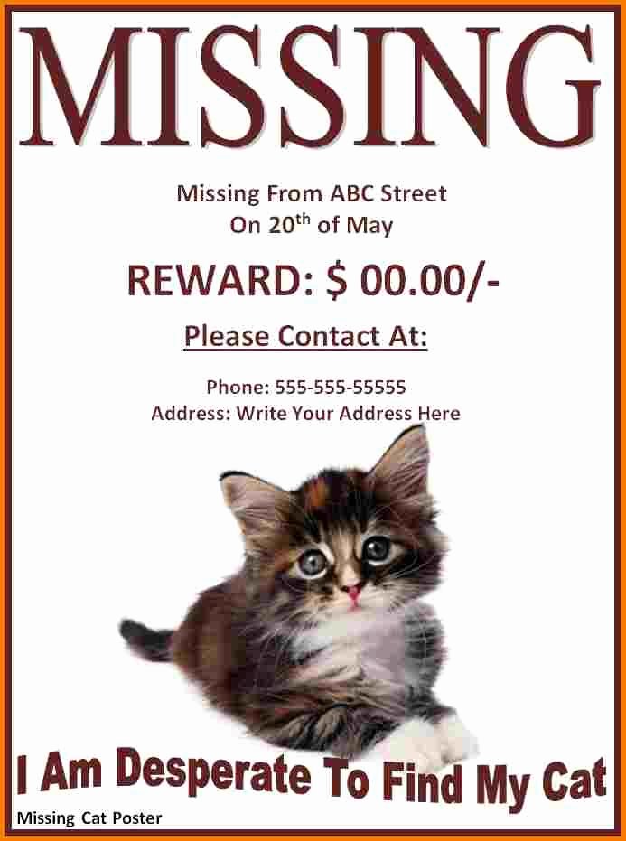 Missing Cat Poster Template Awesome Missing Poster Template
