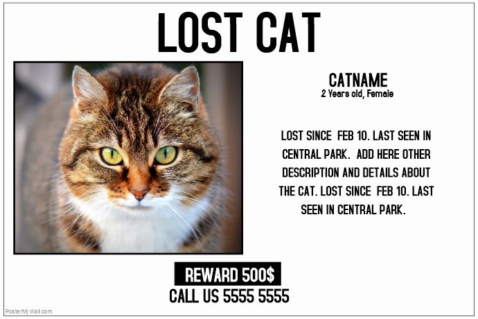 Missing Cat Poster Template Elegant Lost Cat Lost Pet Landscape Poster Template