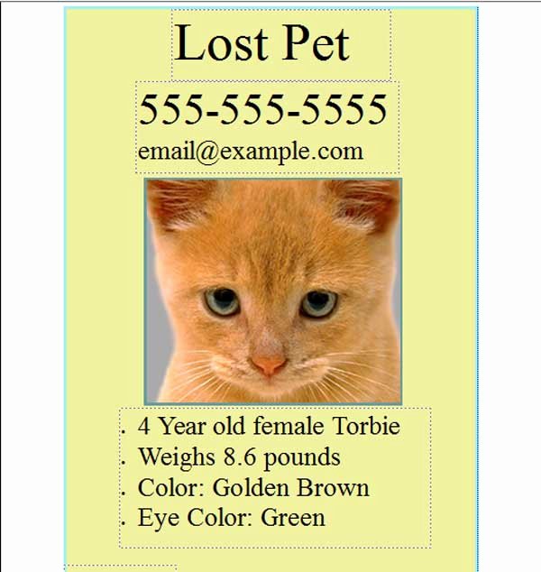 Missing Cat Poster Template Fresh Free Pet Lost Flyer Template Free Line Flyers
