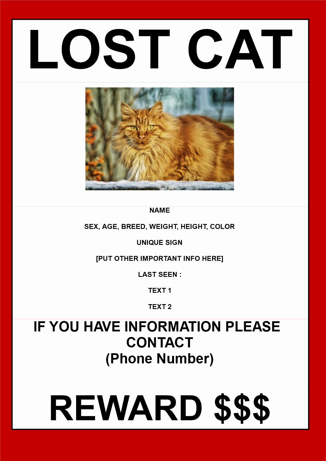 Missing Cat Poster Template Lovely Free Missing Cat Template with Reward A3 Size
