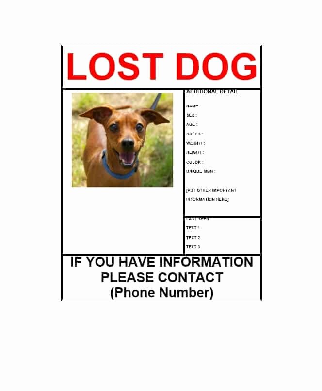 Missing Dog Flyer Template Elegant 40 Lost Pet Flyers [missing Cat Dog Poster] Template