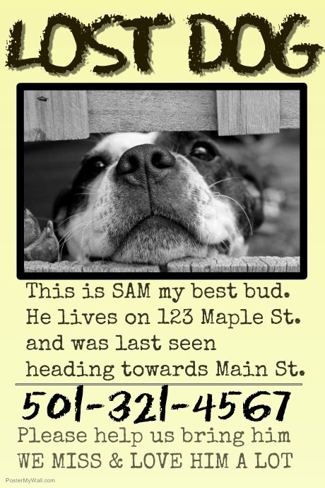 Missing Dog Flyer Template Fresh Copy Of Missing Pet Lost Dog Cat Family