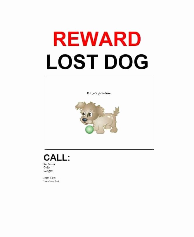 Missing Dog Flyer Template Inspirational 40 Lost Pet Flyers [missing Cat Dog Poster] Template