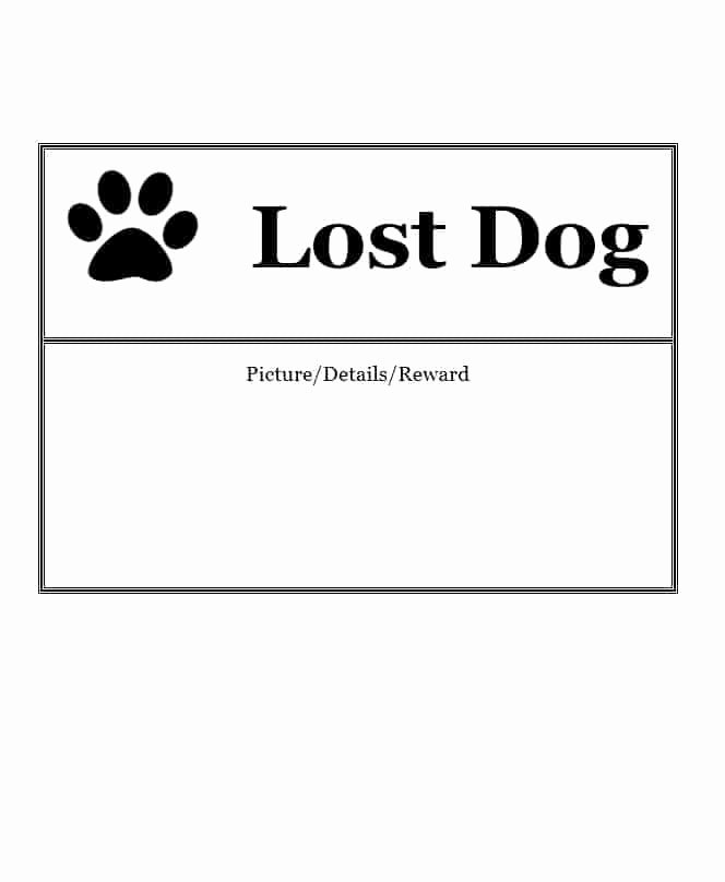 Missing Dog Flyer Template Inspirational 40 Lost Pet Flyers [missing Cat Dog Poster] Template