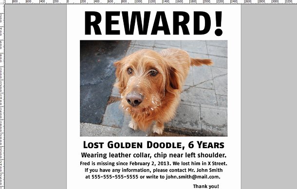 Missing Dog Poster Template Awesome Lost Dog Flyer Template How to Make A Poster Printaholi
