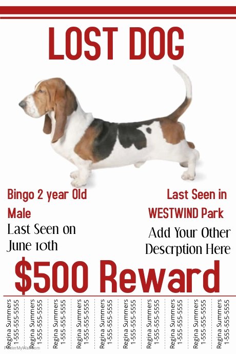 Missing Dog Poster Template Beautiful Lost Dog Template