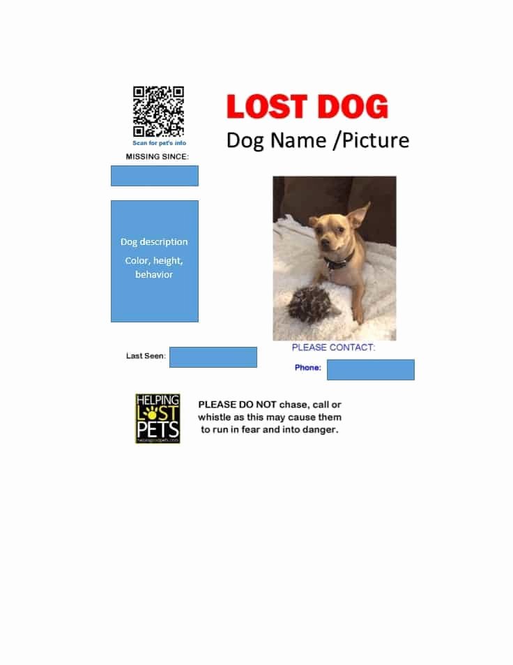 Missing Dog Poster Template Fresh 40 Lost Pet Flyers [missing Cat Dog Poster] Template