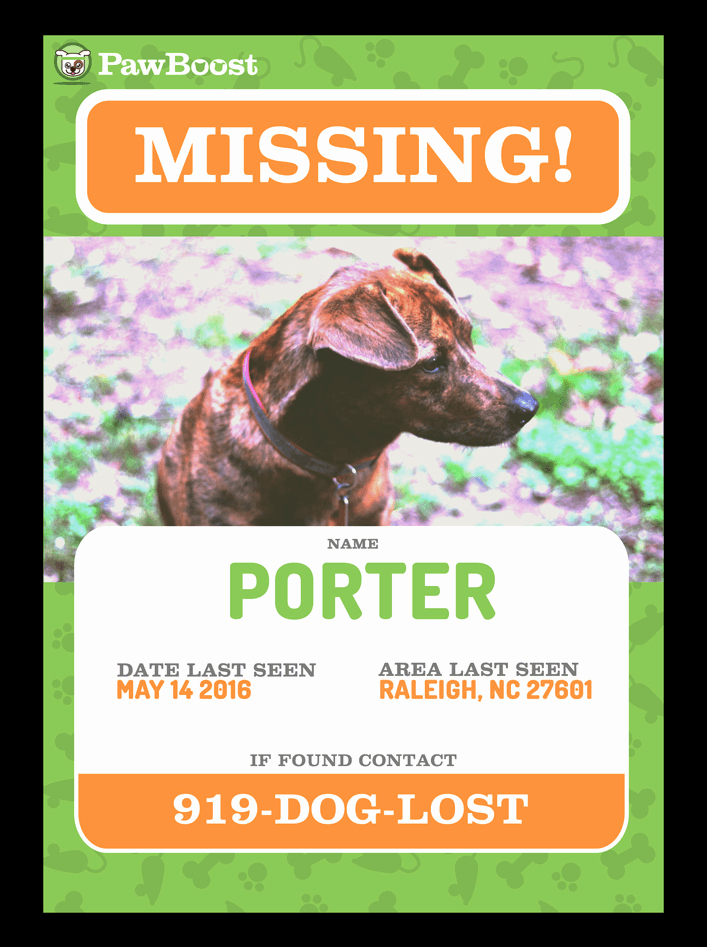 lost pet flyer template