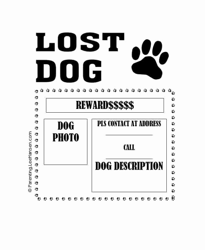 Missing Dog Poster Template Inspirational 40 Lost Pet Flyers [missing Cat Dog Poster] Template