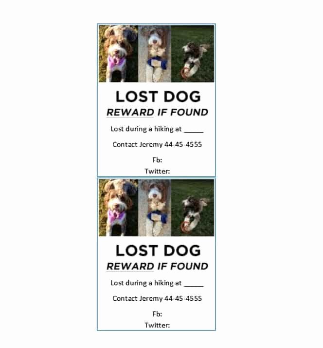 Missing Dog Poster Template Lovely 40 Lost Pet Flyers [missing Cat Dog Poster] Template