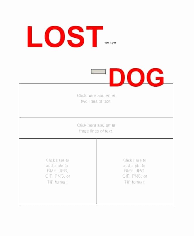 Missing Pet Flyer Template Best Of 40 Lost Pet Flyers [missing Cat Dog Poster] Template
