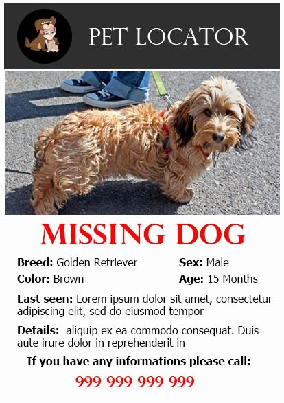 Missing Pet Flyer Template Fresh 20 Best Lost Dog Flyer Templates Demplates