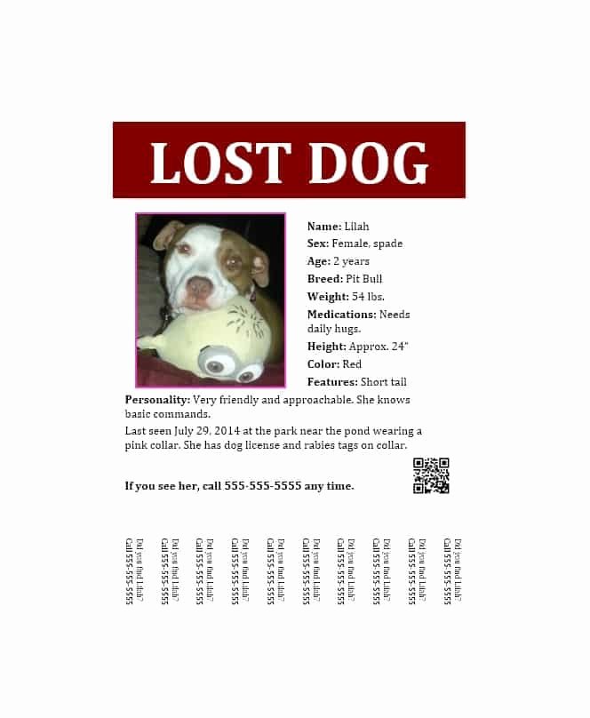 Missing Pet Poster Template Beautiful 40 Lost Pet Flyers [missing Cat Dog Poster] Template
