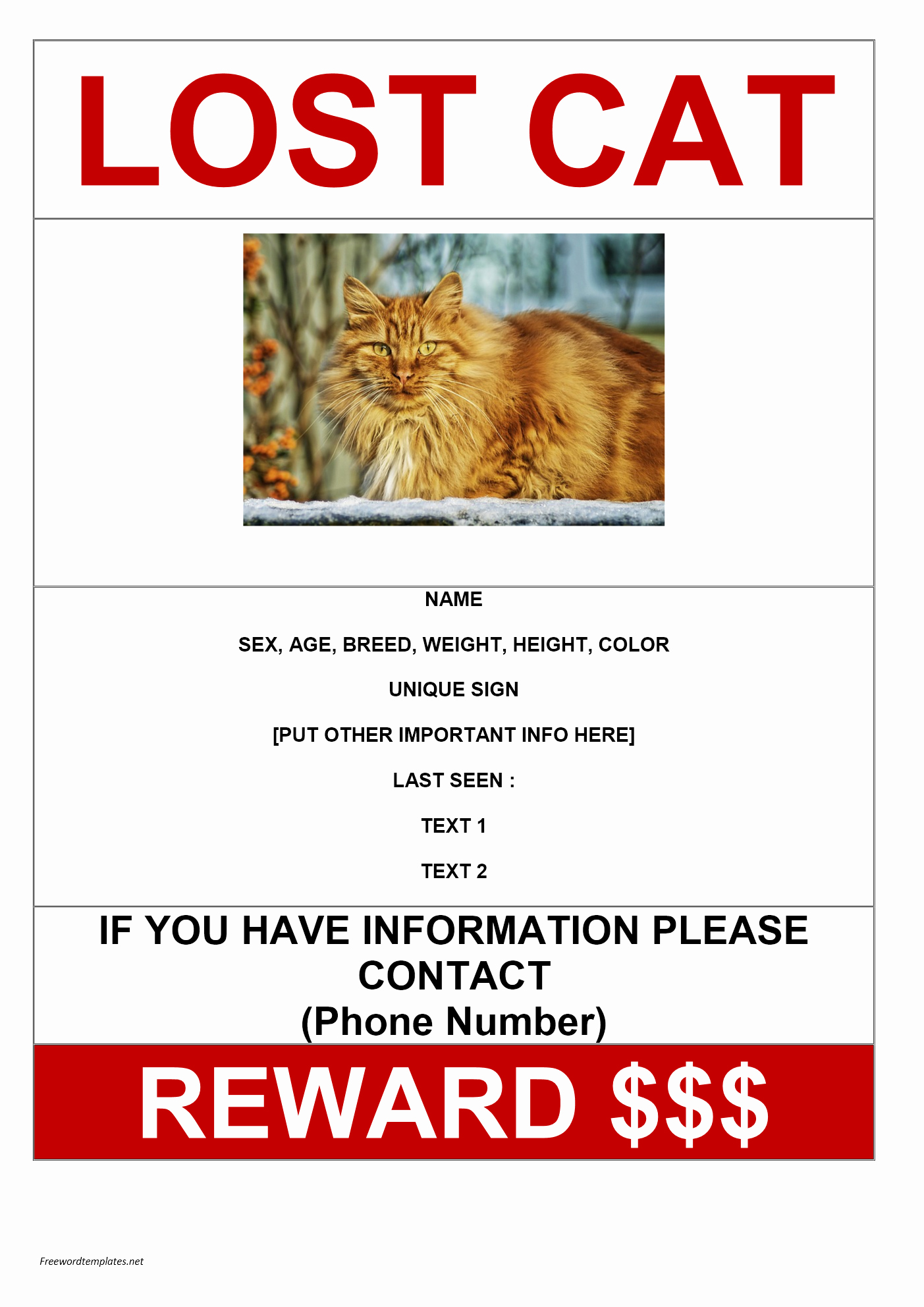 Missing Pet Poster Template Elegant Lost Cat Poster Template Gallery
