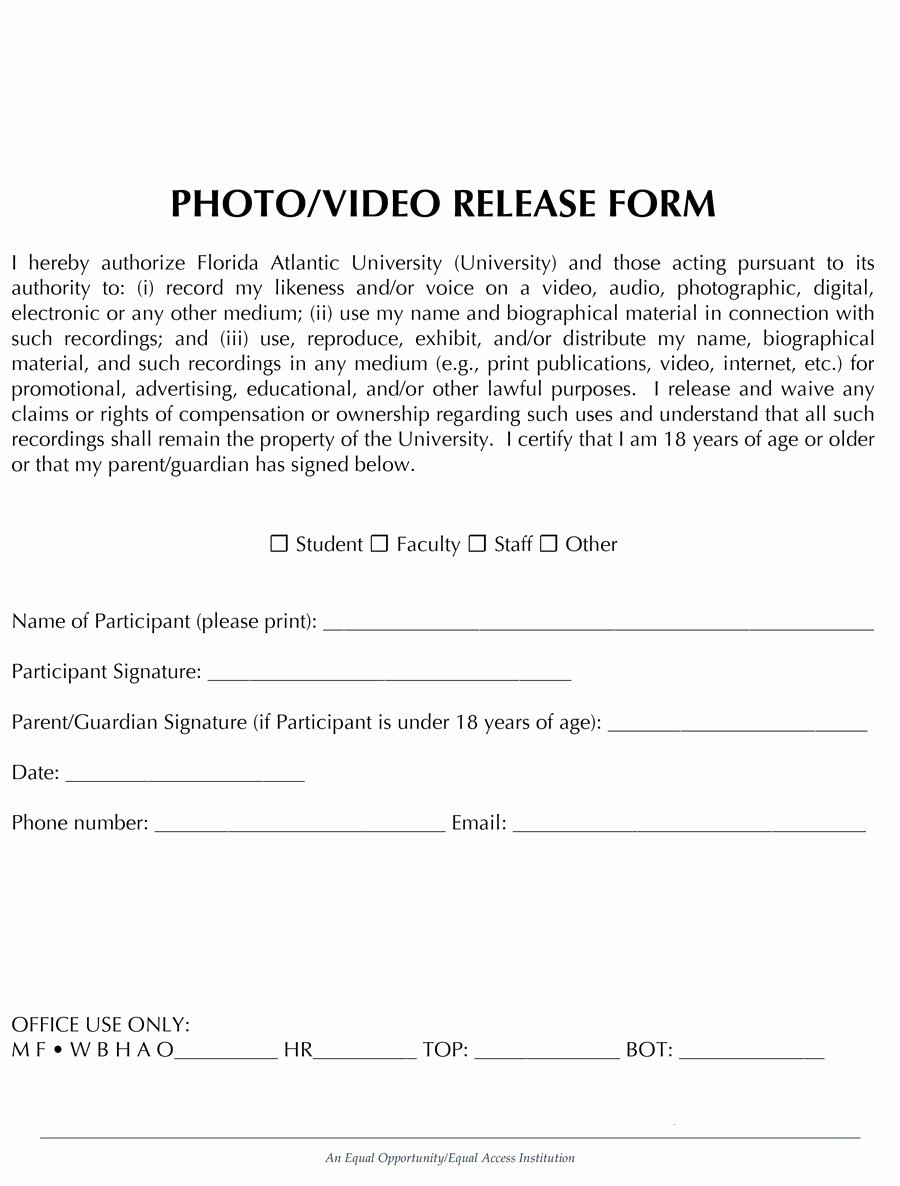 Model Release form Template Beautiful 53 Free Release form Templates [word Pdf]