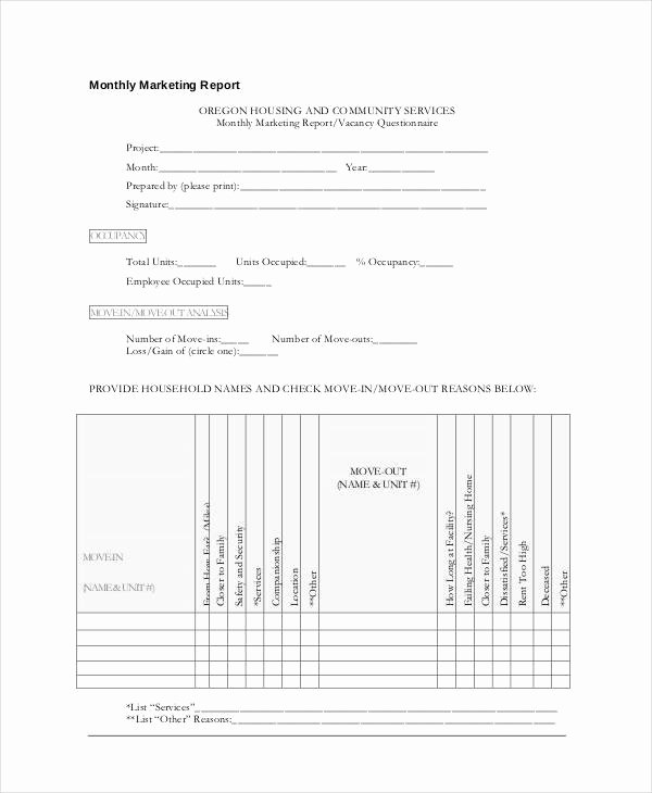 Monthly Marketing Report Template Luxury 32 Report formats