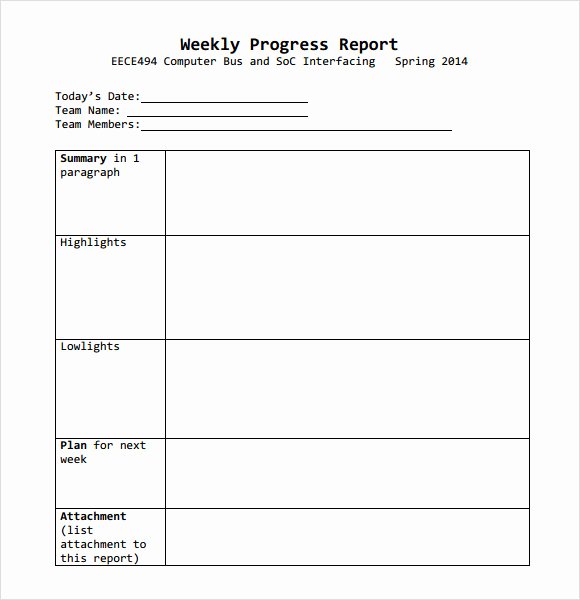 Monthly Progress Report Template Beautiful 13 Sample Weekly Progress Reports