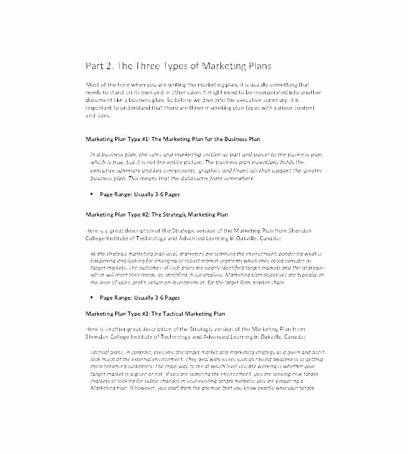 Music Marketing Plan Template Lovely Marketing Plan Template Example