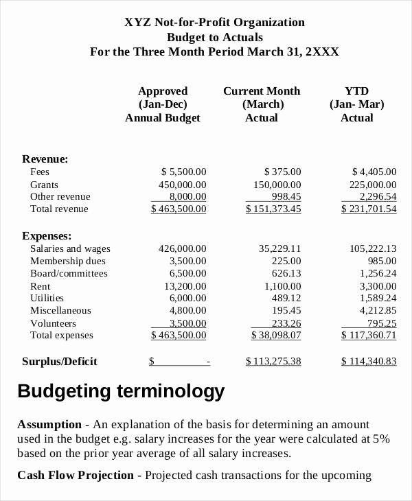 Non Profit Budget Template New 8 Non Profit Bud Templates Word Pdf Excel