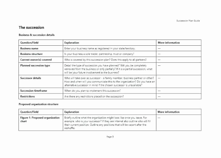 Nonprofit Succession Planning Template Best Of Succession Planning Chart Template – Depressivefo