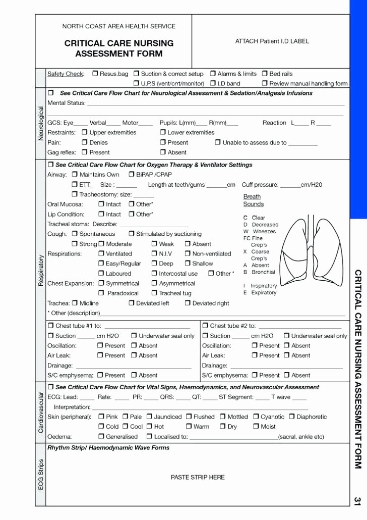 Nurse Flow Sheet Template Beautiful Blank Nursing Report Sheets Vital Signs Flow Sheet