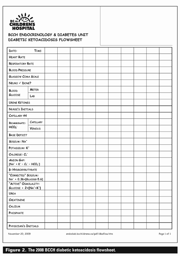 Nurse Flow Sheet Template Best Of Sample Flow Sheets for Nurses Bing