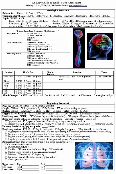 Nursing assessment Documentation Template Luxury Head to toe assessment form for Clinical