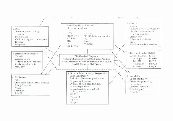 Nursing Concept Map Template Awesome Hypertension Concept Map Nursing What is A Care Plan