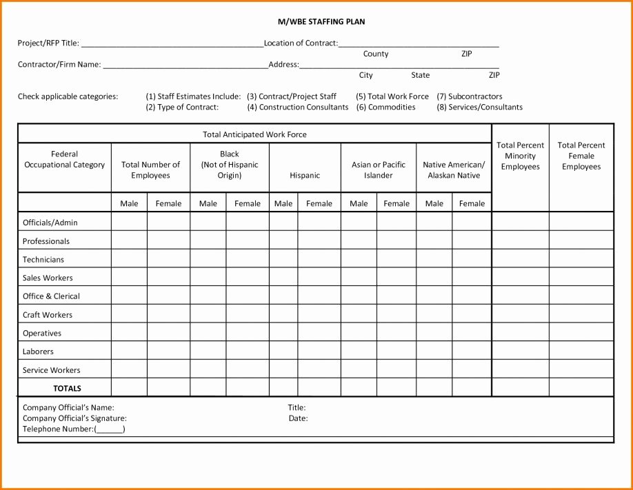 Staffing Proposal Template