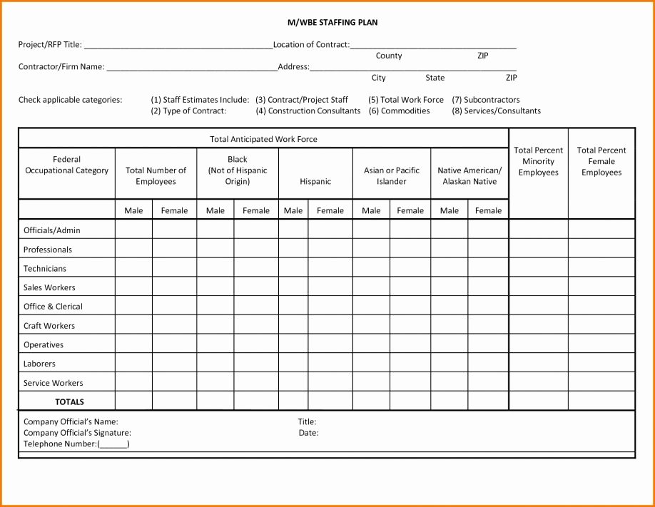 Free Printable Staffing Plan Example