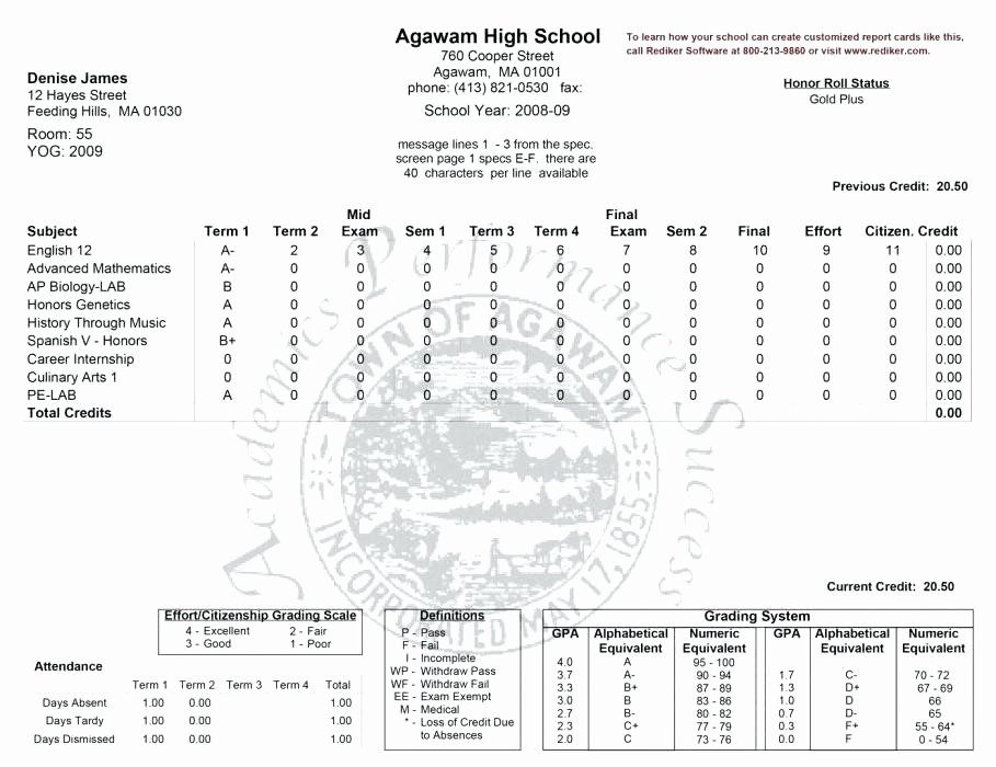 Nyc Report Card Template Awesome College Report Card Template Templates Data
